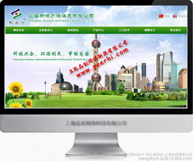 松江網站建設服務 上海品劃網絡公司專業定制方案
